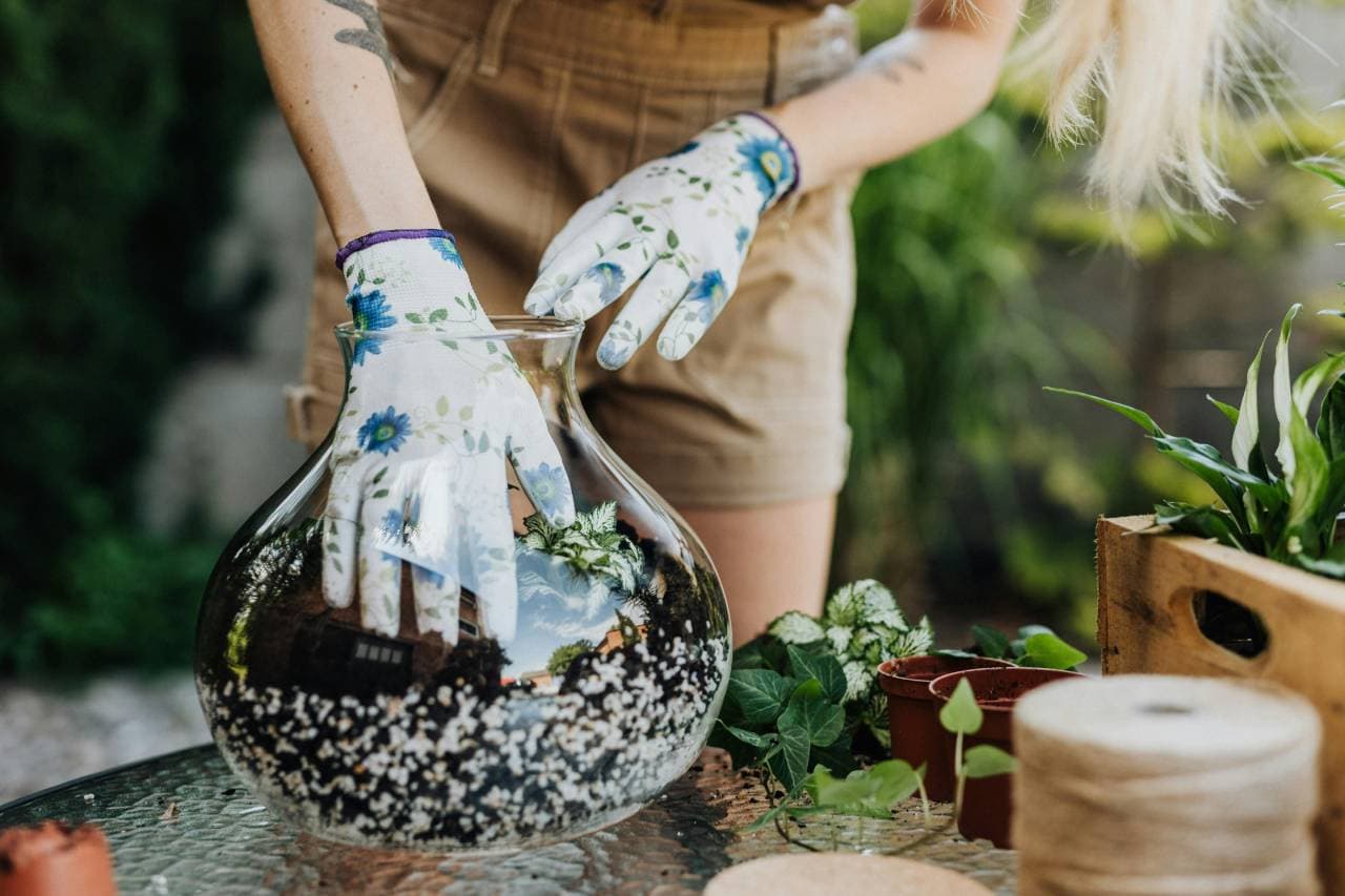 Planting in a bioactive terrarium